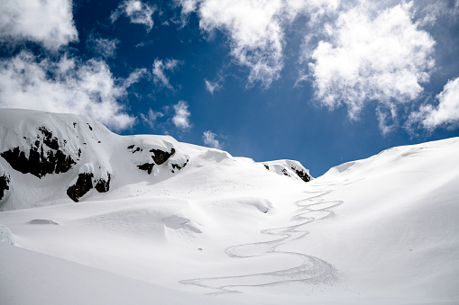 Ski tracks in fresh powder. Back country ski themes.