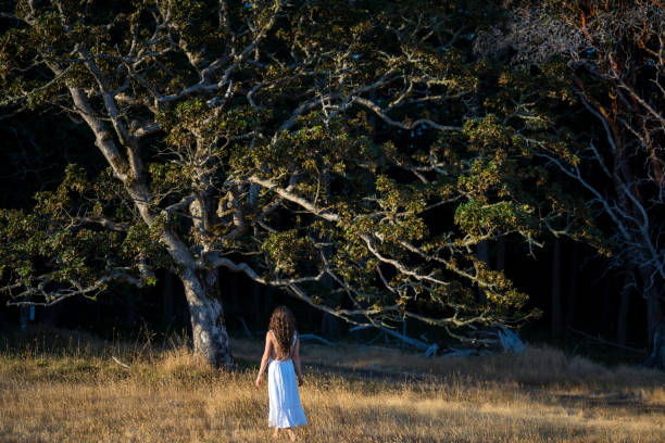 Free Stock Photo of Woman in White Dress Standing in Forest | Download ...