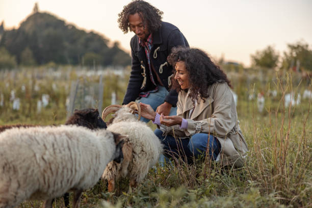 Portrait of smiling Hispanic man and woman in mid 40s spending day on a farm and feeding goats.