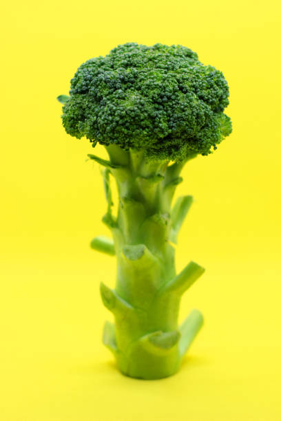 istock Broccoli vegetable in a close-up photo 1453390886