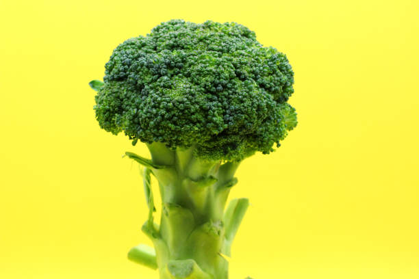 istock Broccoli vegetable in a close-up photo 1453390897