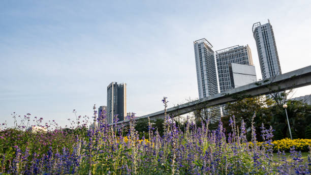 istock Modern buildings covered with greenery in Bangkok 1453392439