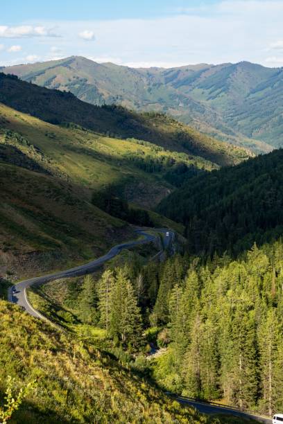 istock Beautiful view of a road in the forest 1453393282