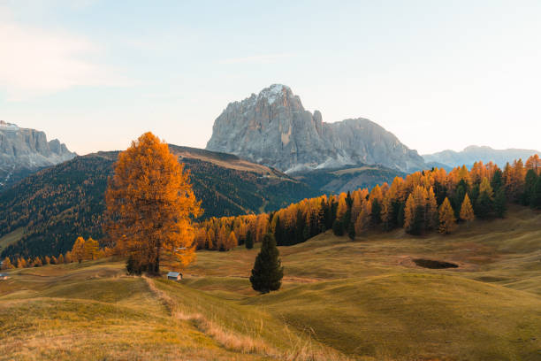 istock Scenic view of Dolomites in autumn 1453394802