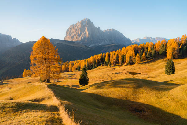 istock Scenic view of Dolomites in autumn 1453395409