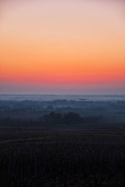 istock Sunset over the rural field in the mist ,vertical shot 1453396098