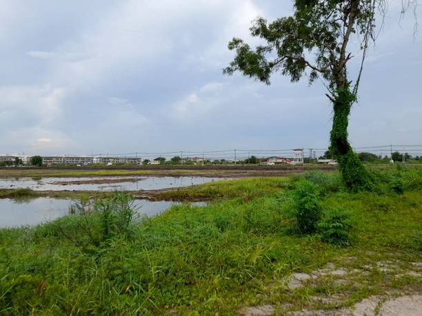 istock landscape view in Chachoengsao Thailand 1453397672