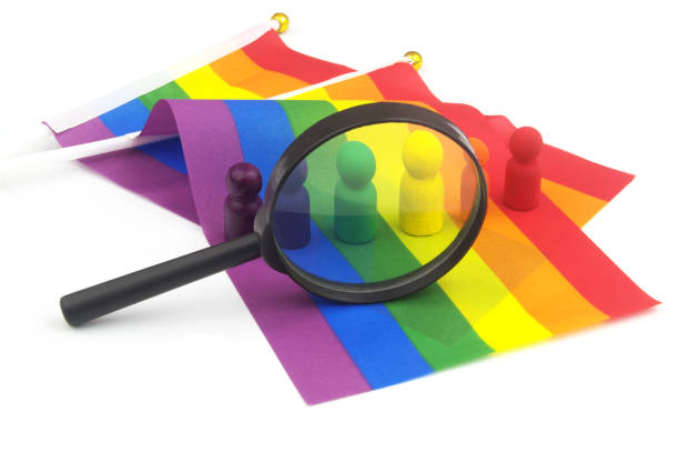 istock Rainbow colored people figures on LGBT pride flags under magnifying glass isolated on white background. 1453410573