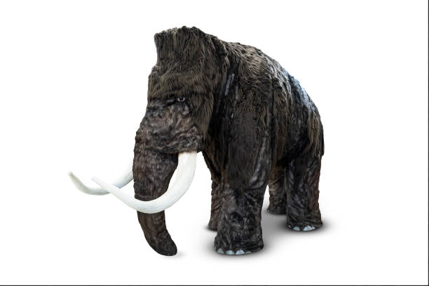istock Mammoth woolly figurine isolated on white background 1453412728