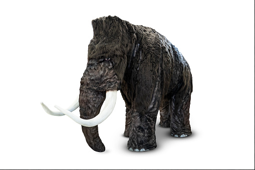 3D rendering of  elephants
