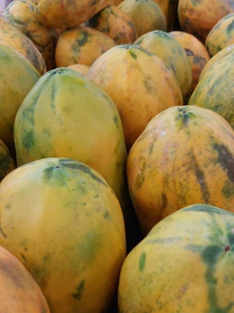 istock Californian papaya 1453415374