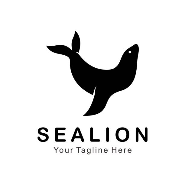 sea lion logo - denizaslanıgiller stock illustrations