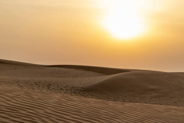 istock Sand dunes during beautiful sunset. Nature 1453416352