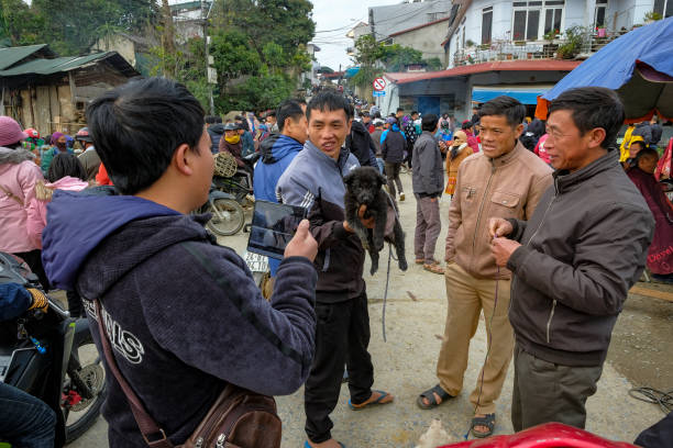Bac Ha, Vietnam - December 18, 2022: A man selling dogs at the Bac Ha market in Vietnam.