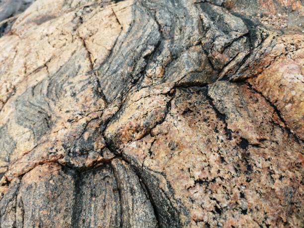 istock Closeup shot of rock patterns in daylight 1453422103