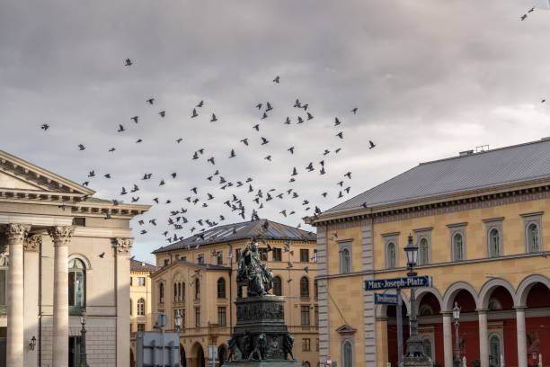 istock Birds flying over the Max-Joseph-Platz square in Munich, Germany. 1453422347