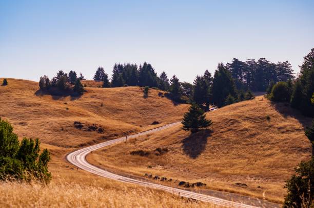 istock Narrow road passing through dry yellow fields with green trees 1453422867