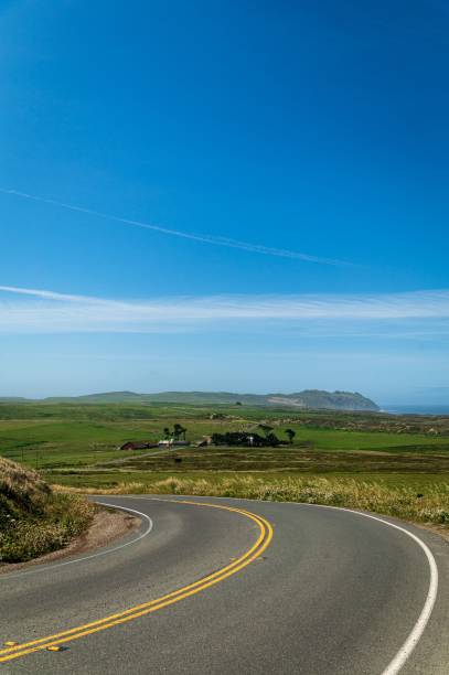 istock Vertical shot of a two-way asphalt road passing through green fields under a blue sky 1453422873