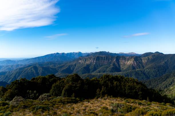 istock The Escarpment from the Paparoa Track 1453423645