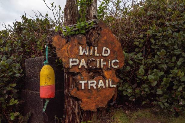 istock Closeup shot of a wild pacific trail sign on a tree 1453424425