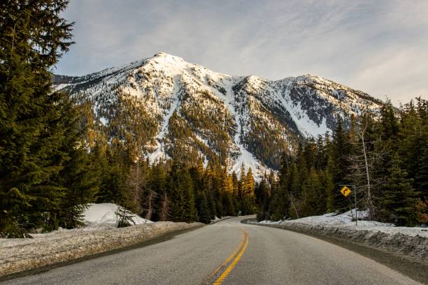 istock Mountain road with tall trees on the side and an icy mountain background 1453424511