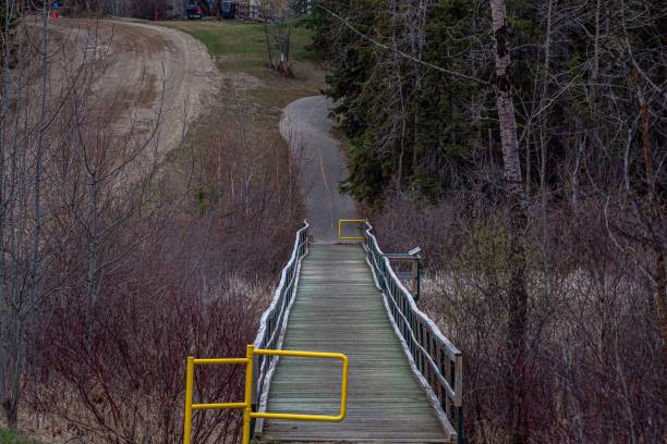 istock Wooden path walkway bridge in the forest 1453424533