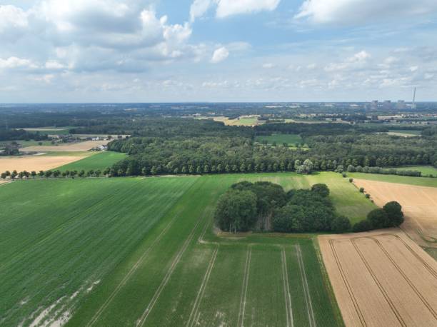 istock Panoramic view of a beautiful field during summer in Western Germany 1453425763