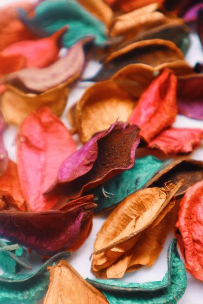 istock Vertical shot of leaves and petals 1453427340