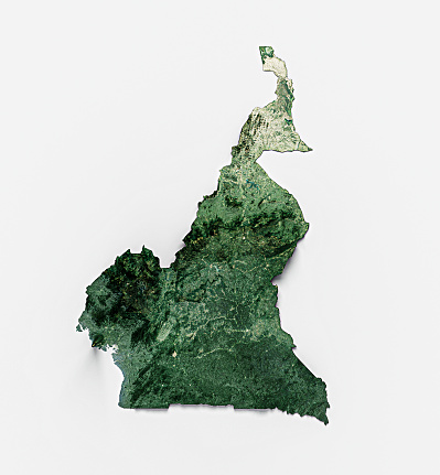 A 3D rendering of a map of Cameroon on a white background