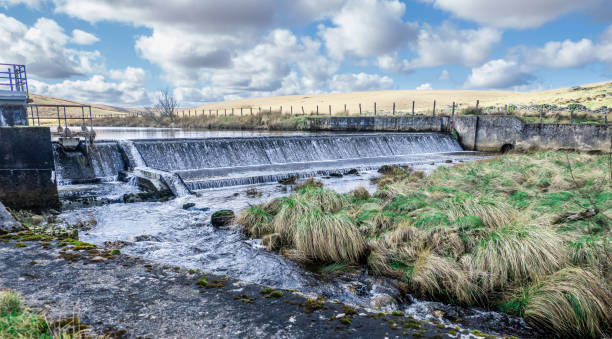 istock Photo of a dam and a river with plants 1453428725