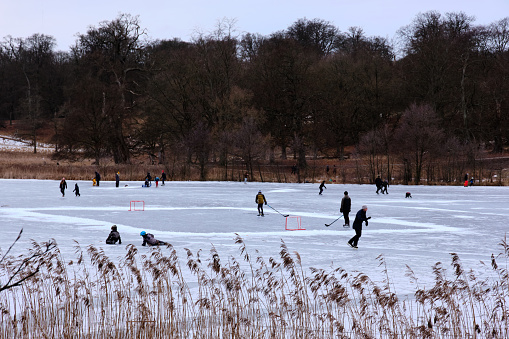 Copenhagen, Denmark – January 11, 2022: A beautiful view of the ice skating in Dyrehaven in Denmark