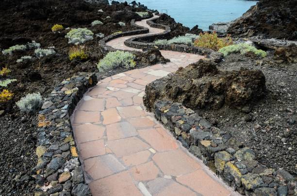 istock Red and Gray Paving Stones 1453431120