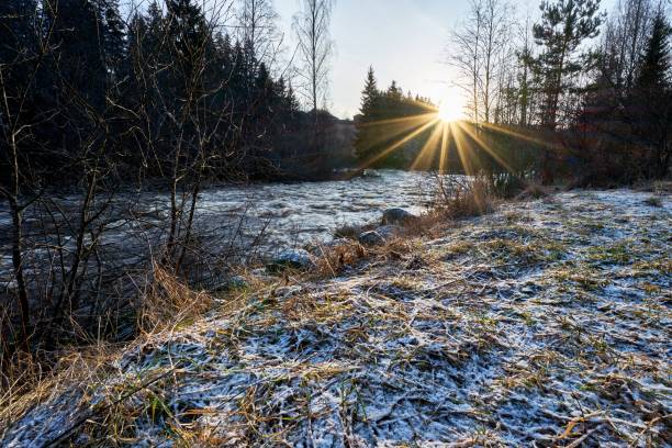 istock Rapid mountain river with a powerful rushing stream of water in the forest 1453431255