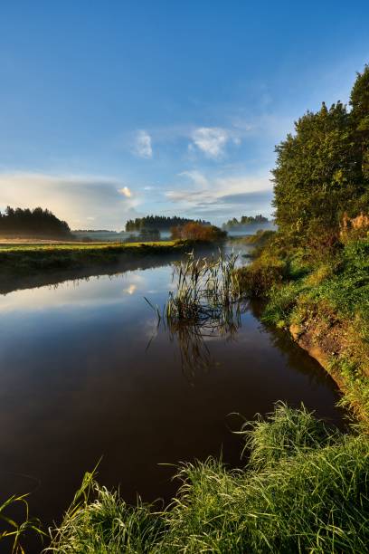 istock Vertical shot of a river flowing between fields surrounded by trees during a sunset 1453431556