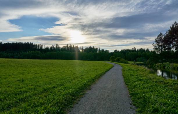 istock Curving dirt trail on the side of a grass field under a cloudy blue sky 1453432140