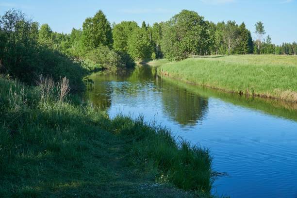 istock Beautiful shot of a river flowing between fields surrounded by trees 1453432237