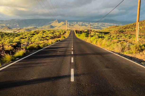 istock Lonely Road in the Desert 1453432585