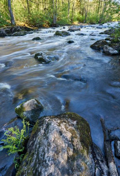 istock Vertical shot of a streaming rocky river in the woods 1453432649