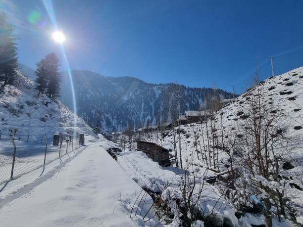 istock Stunning snowfall views in Kashmir 1453432824