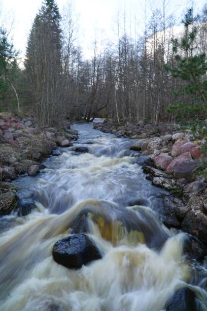 istock Vertical shot of a flowing river in winter 1453432919