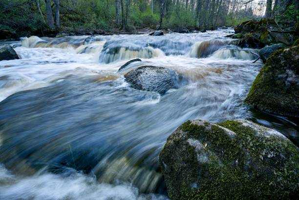 istock Foamy river flowing through big rocks in the forest, long exposure 1453432927