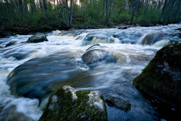 istock Closeup shot of a flowing river in a forest 1453432945