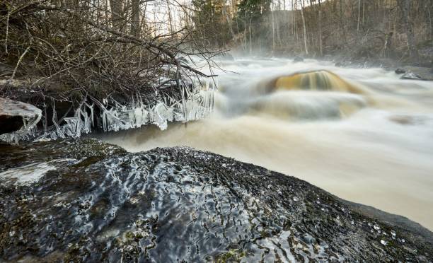 istock Foamy river flowing through big rocks in the forest, long exposure 1453432975
