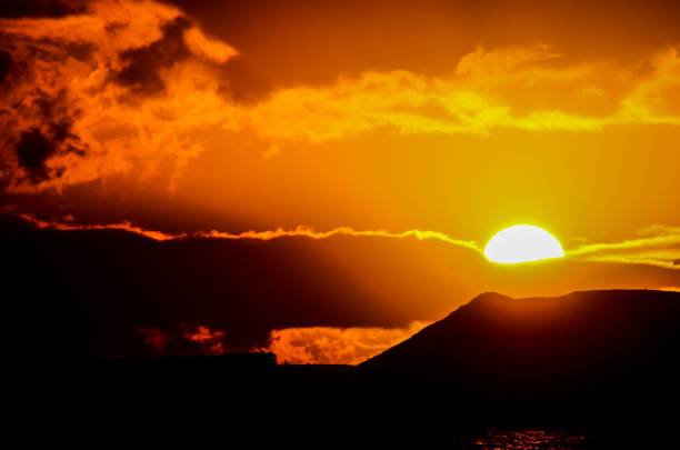istock image taken in the canary islands, spain 1453432995