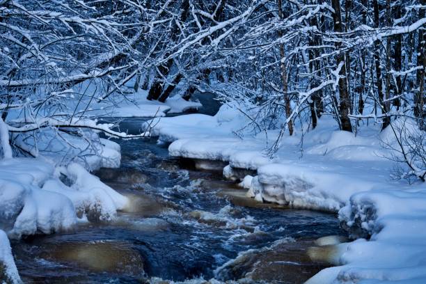 istock Winter landscape with river flowing through snowy forest, long exposure 1453433004