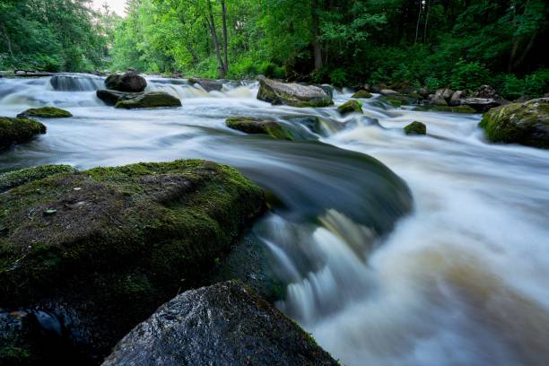istock Closeup shot of a flowing river in a forest 1453433220