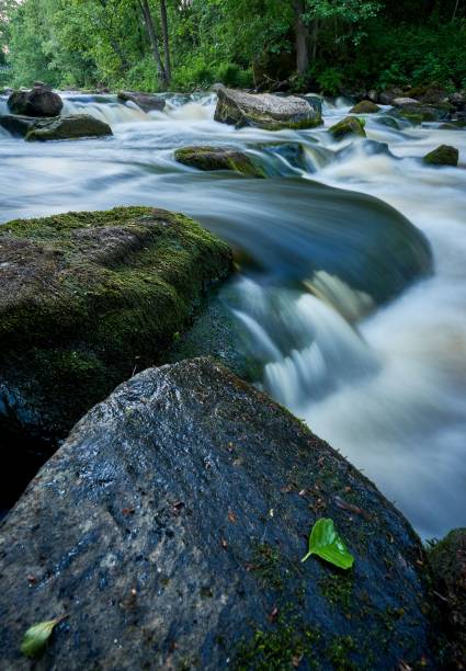 istock Vertical shot of a flowing river in a forest 1453433226