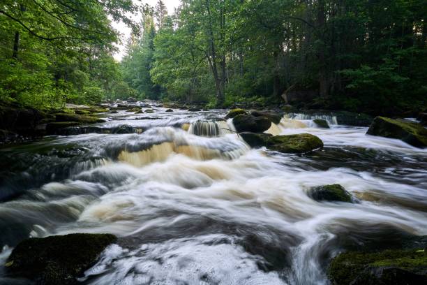istock Closeup shot of a river in the forest 1453433324