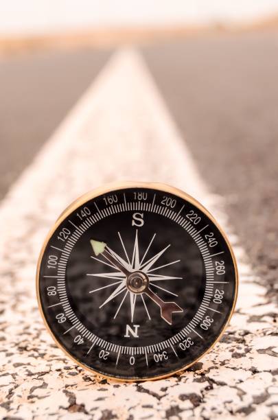 istock image taken in the canary islands, spain 1453433351
