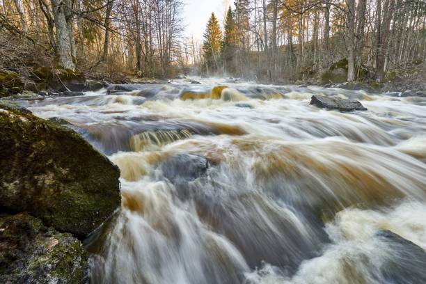 istock High angle long exposure view of water cascading down rocks in a forest 1453433385